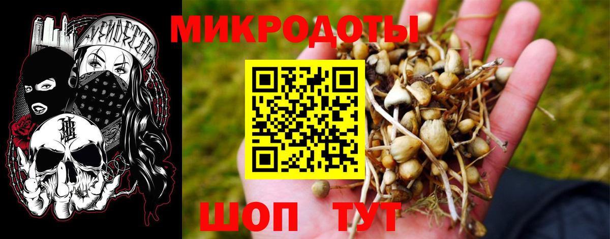 Галлюциногенные грибы MAGIC MUSHROOMS Канаш