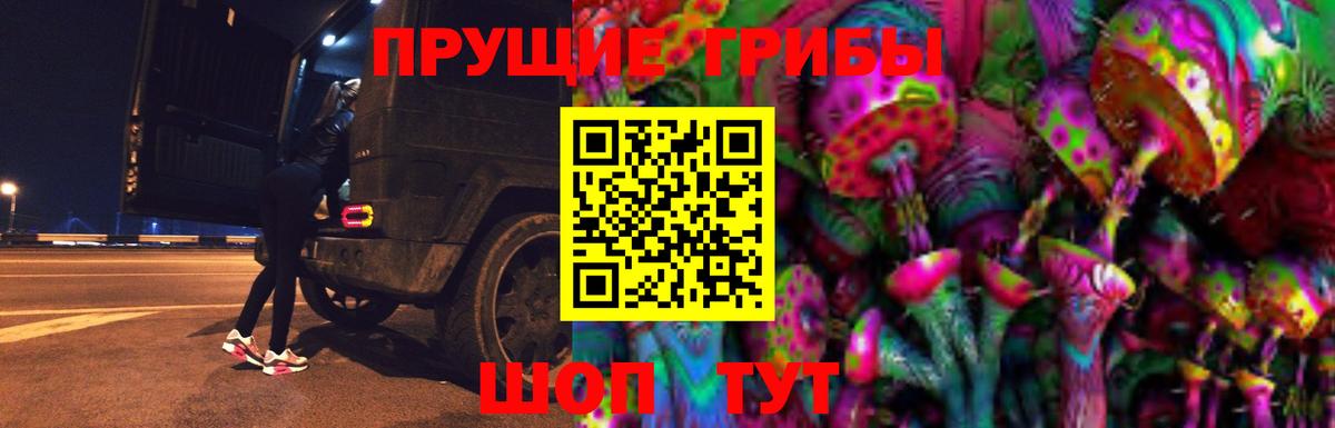 Псилоцибиновые грибы прущие грибы  Вход с VPN  наркотики  Псилоцибиновые грибы MAGIC MUSHROOMS  Канаш 
